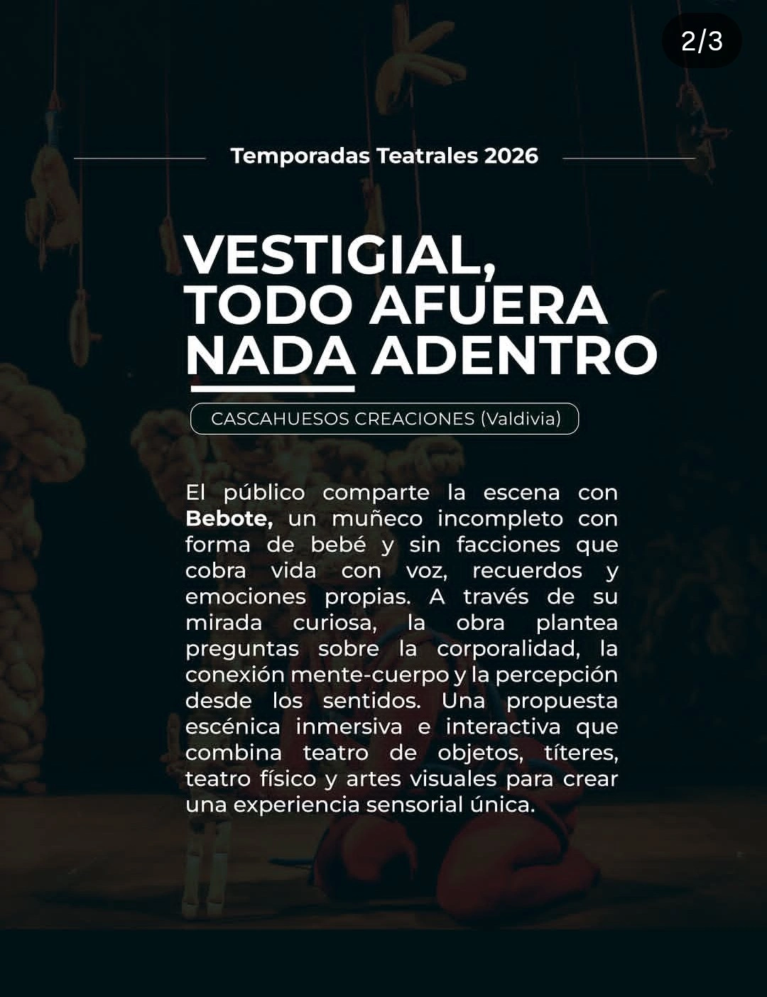 Vestigial, todo afuera nada adentro - Transhumantes Temuco  - Imagen 2