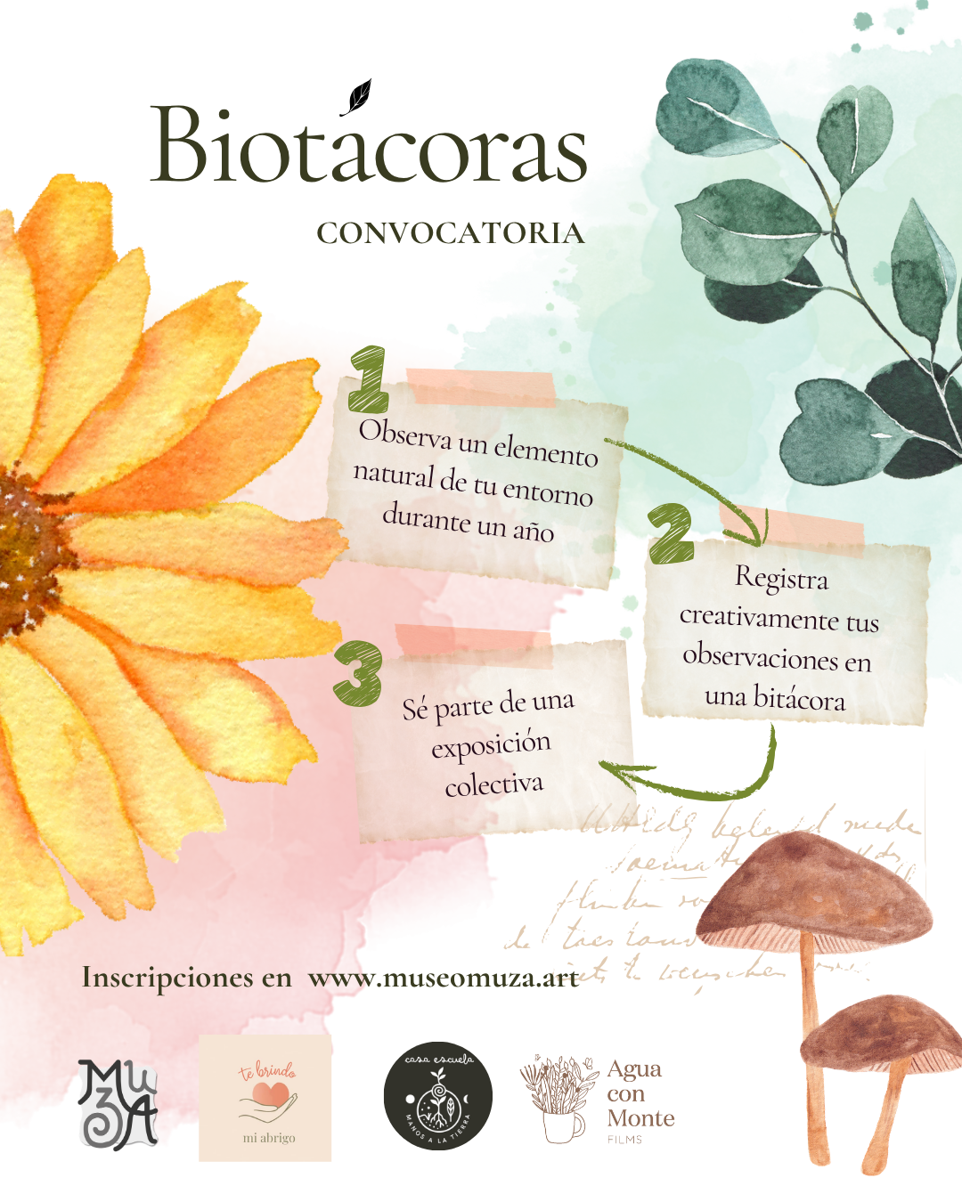 Biotácoras - Programa naturalista